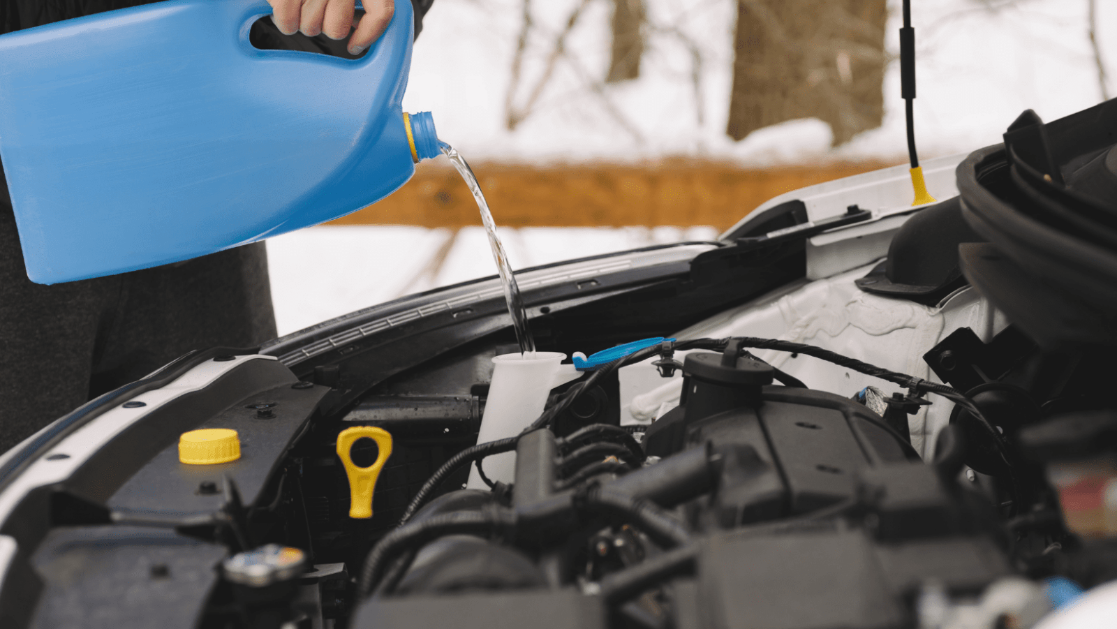 Read more about the article Learn About Leaks Related To Car Fluids