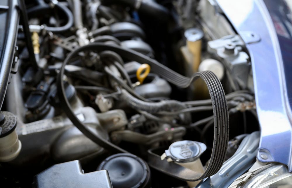 Serpentine belt