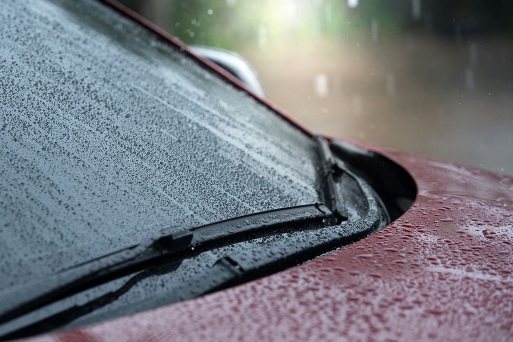 Wiper system